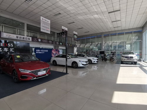 汽車(chē)銷(xiāo)售精英 專(zhuān)業(yè)素養(yǎng)與卓越服務(wù)的締造者